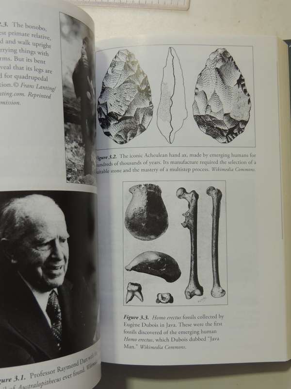 Unbound: How Eight Technologies Made Us Human,Transformed Society & Brought Our World.... R Currier