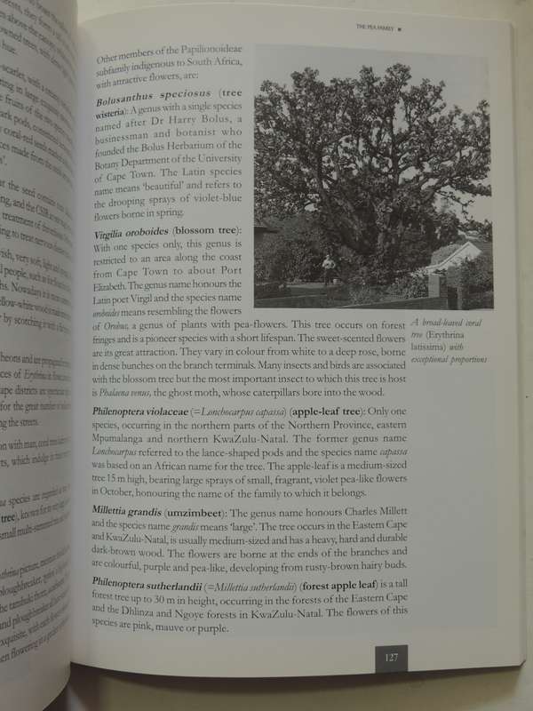 Remarkable Trees Of South Africa- Neels Esterhuyse, Jutta Von Breitenbach & Hermien Sohnge