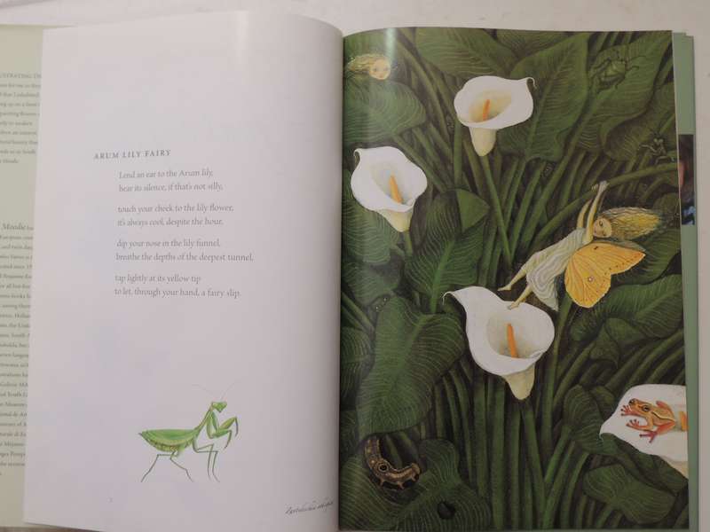Fynbos Fairies - Antjie Krog & Fiona Moodie