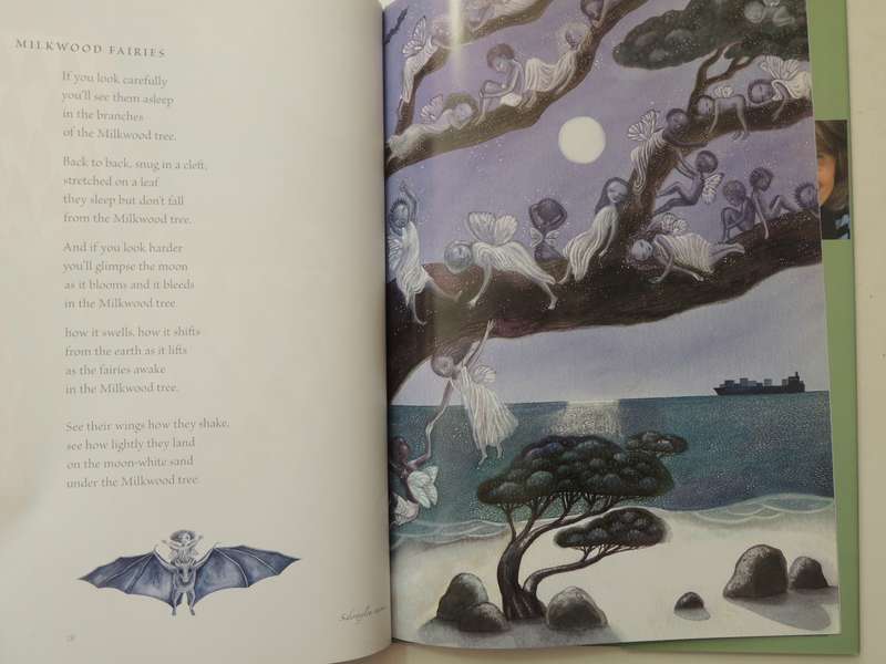 Fynbos Fairies - Antjie Krog & Fiona Moodie