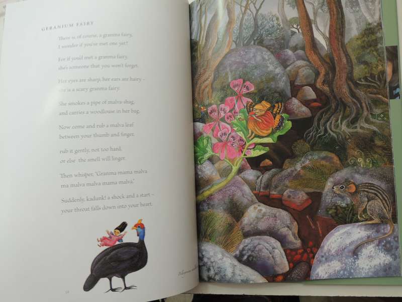 Fynbos Fairies - Antjie Krog & Fiona Moodie