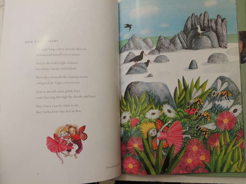Fynbos Fairies - Antjie Krog & Fiona Moodie