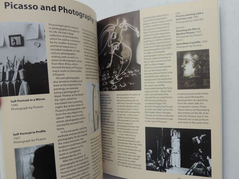 Art In Focus: Pablo Picasso - Elke Linda Buchholz & Beate Zimmermann