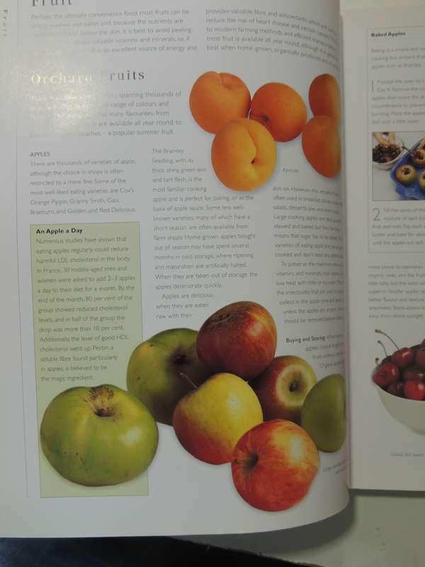The Practical Encyclopedia Of Whole Foods: With Recipes For Health And Healing - Nicola Graimes