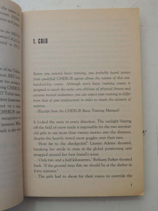 Cherub No. 3: Maximum Security - Robert Muchamore