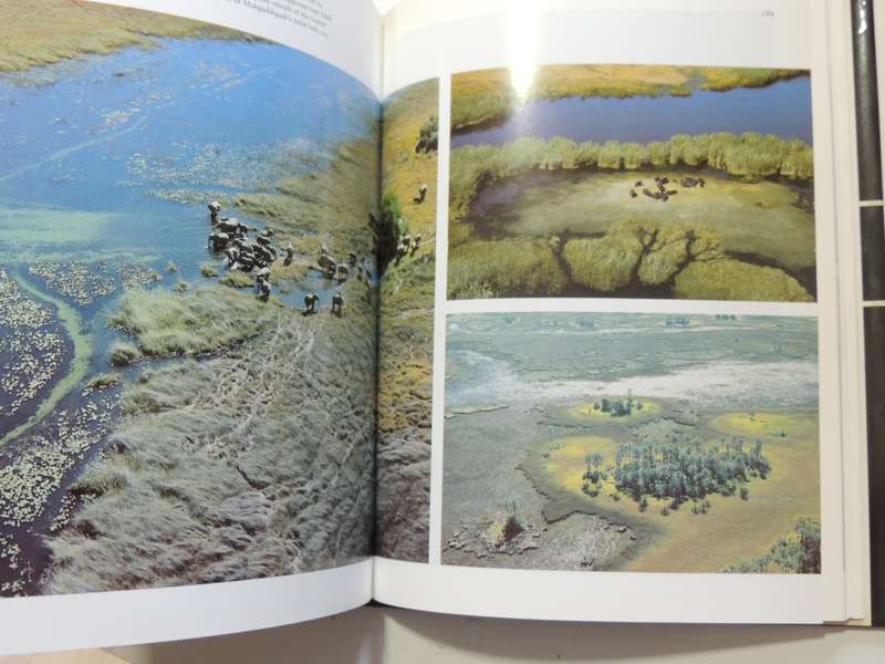 Okavango: Jewel Of The Kalahari- Karen Ross