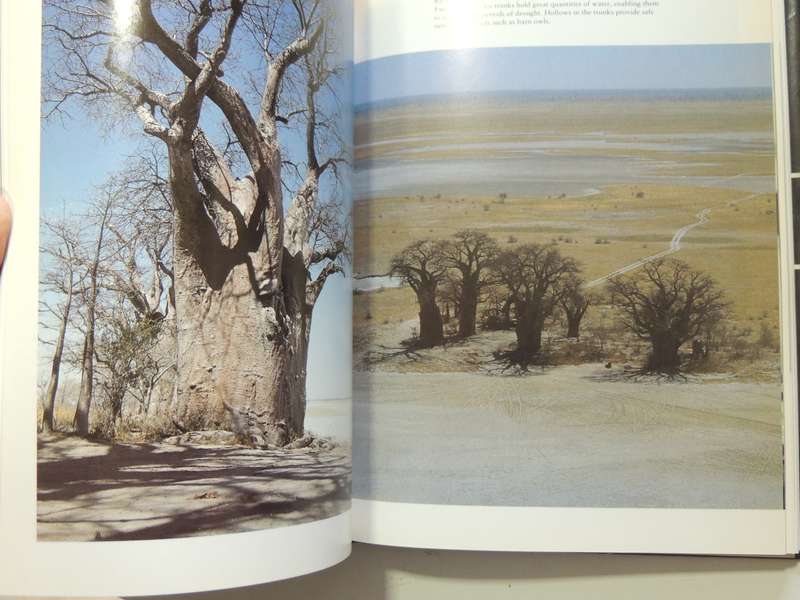 Okavango: Jewel Of The Kalahari- Karen Ross
