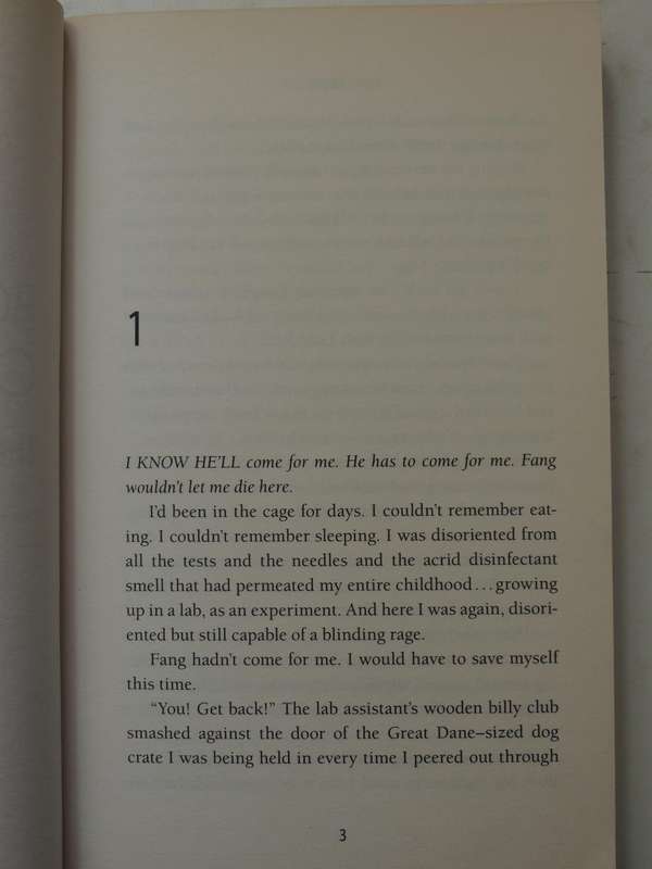 Maximum Ride 7: Angel- James Patterson