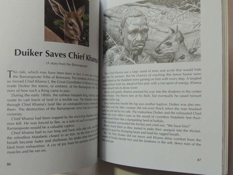 When Lion Could Fly And Other Tales From Africa - Nick Greaves
