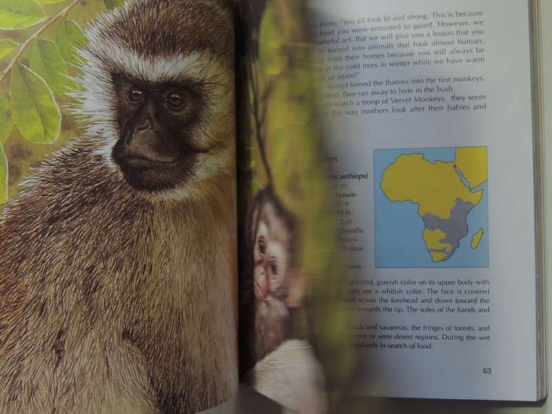 When Lion Could Fly And Other Tales From Africa - Nick Greaves