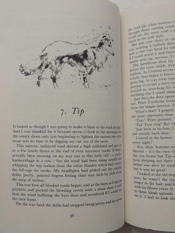 James Herriot's Dog Stories - James Herriot