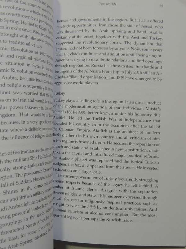 The Lone Wolves' Legion: Terrorism, Colonialism And Capital - Peter Knoope