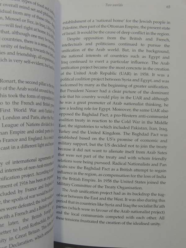 The Lone Wolves' Legion: Terrorism, Colonialism And Capital - Peter Knoope