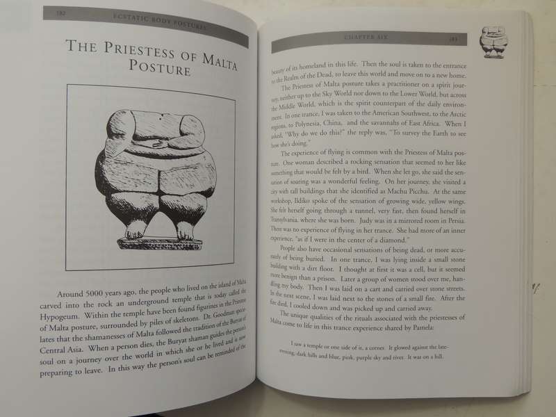 Ecstatic Body Postures: An Alternate Reality Workbook - Belinda Gore