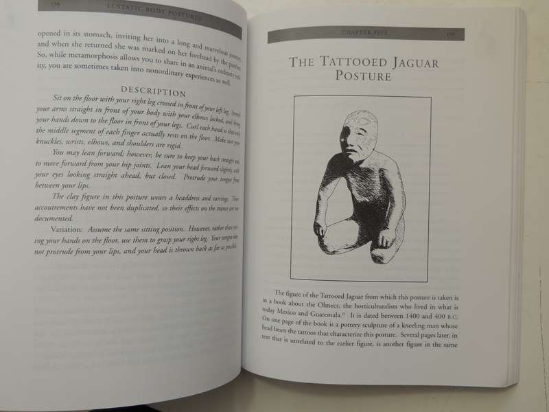 Ecstatic Body Postures: An Alternate Reality Workbook - Belinda Gore