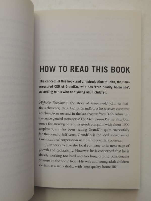 Highwire Executive: Top Coaching Secrets To Transform Your Work And Home Life - Peter Stephenson