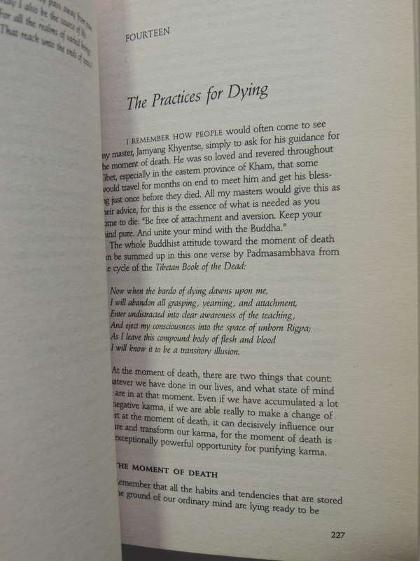 The Tibetan Book Of Living & Dying - Sogyal Rinpoche
