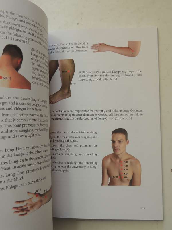 The Shiatsu Studio's Acupressure For Common Ailments - Margie Candy