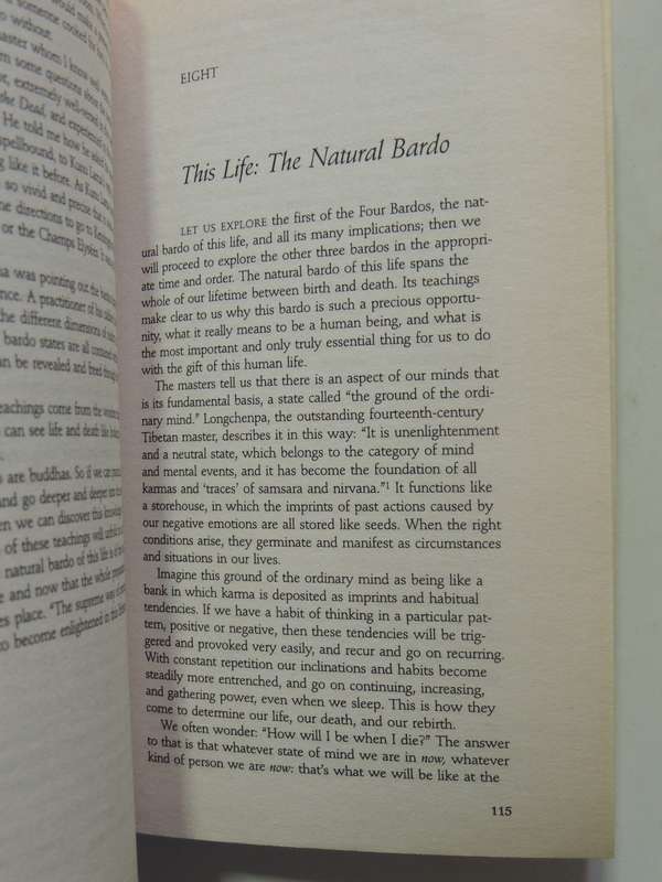 The Tibetan Book Of Living & Dying - Sogyal Rinpoche