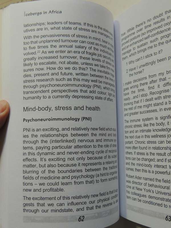 Icebergs In Africa: A Wellness Journey Through The Visible And The Invisible - Julie Shaw