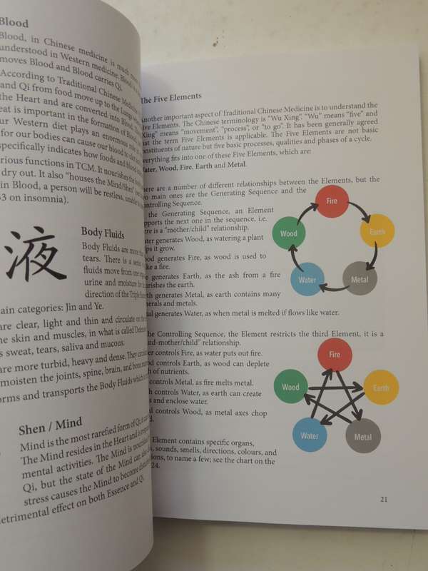 The Shiatsu Studio's Acupressure For Common Ailments - Margie Candy