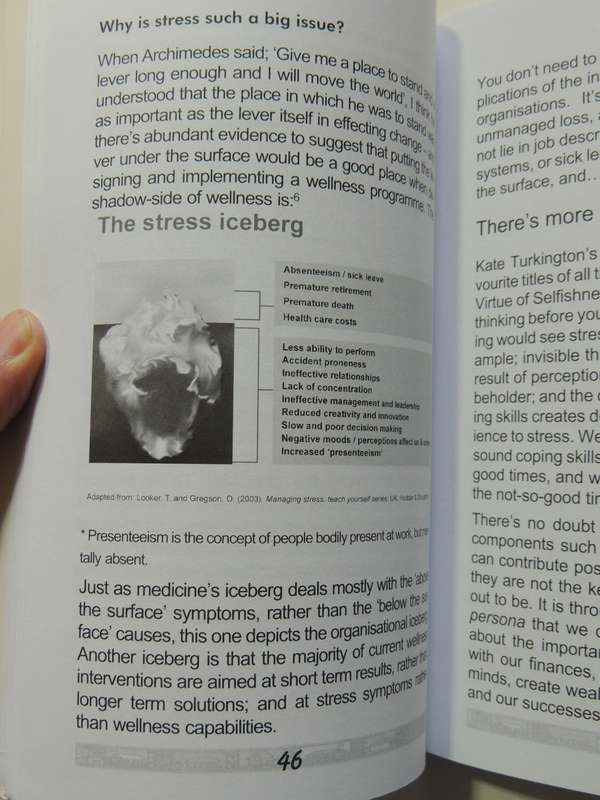 Icebergs In Africa: A Wellness Journey Through The Visible And The Invisible - Julie Shaw