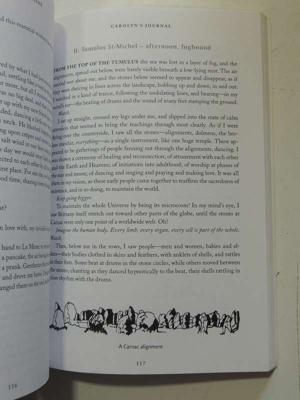 Voices Out Of Stone: Magic And Mystery In Megalithic Brittany - Natasha Hoffman & Carolyn North