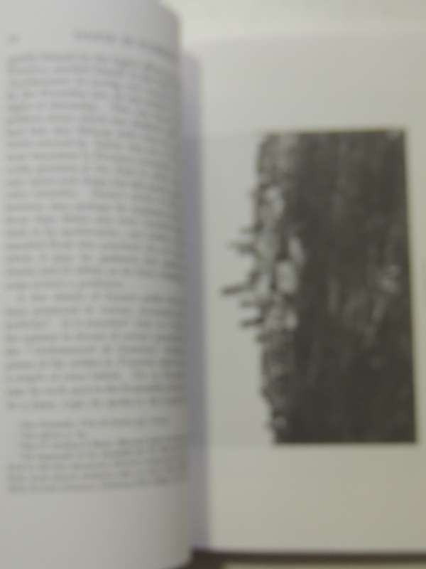 Dante Alighieri, His Life and Works - Paget Toynbee