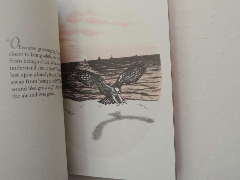 There's No Such Place As Far Away - Richard Bach
