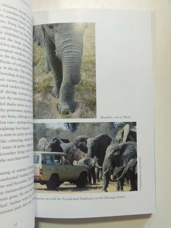Battle For The President's Elephants: Life, Lunacy & Elation In The African Bush - Sharon Pincott