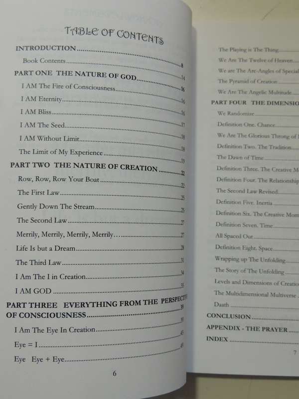 The Book Of Light: The Nature Of God, Structure Of Consciousness &The Universe - Michael Sharp