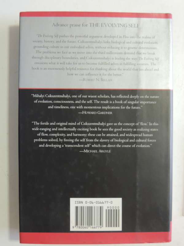 The Evolving Self: A Psychology For The Third Millennium - Mihaly Csikszentmihalyi