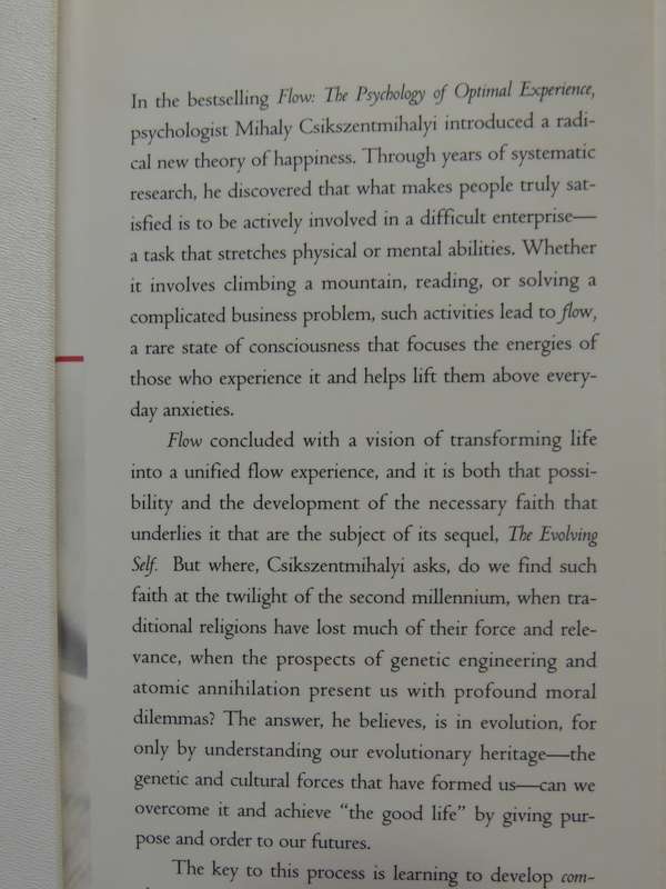 The Evolving Self: A Psychology For The Third Millennium - Mihaly Csikszentmihalyi
