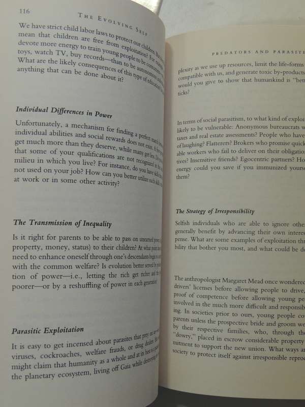 The Evolving Self: A Psychology For The Third Millennium - Mihaly Csikszentmihalyi