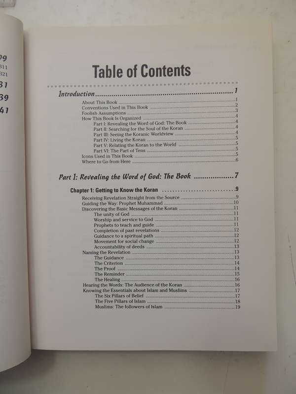 The Koran For Dummies - Sohaib Sultan