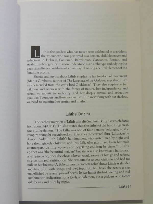 The Dark Goddess: Dancing With The Shadow - Marcia Starck & Gynne Stern
