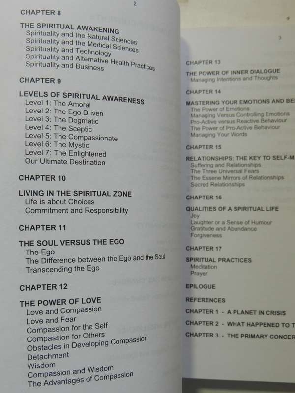 Spiritual Renaissance: A Planet In Crisis - Susan Minnaar