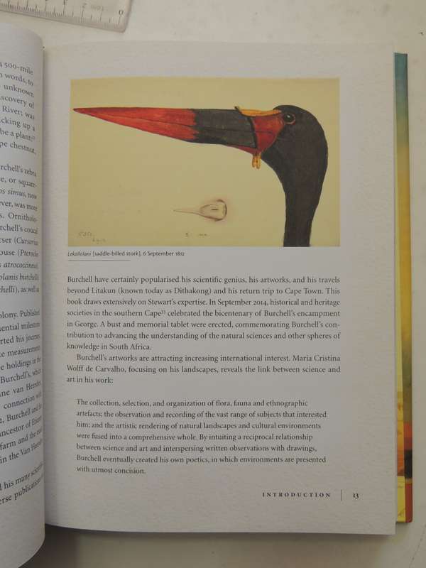 Burchell's Travels: The Life, Art And Journeys Of William John Burchell 1781-1863 - Susan Buchanan