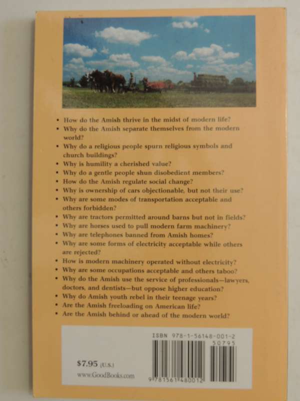 The Puzzles Of Amish LifeDonald B. Kraybill