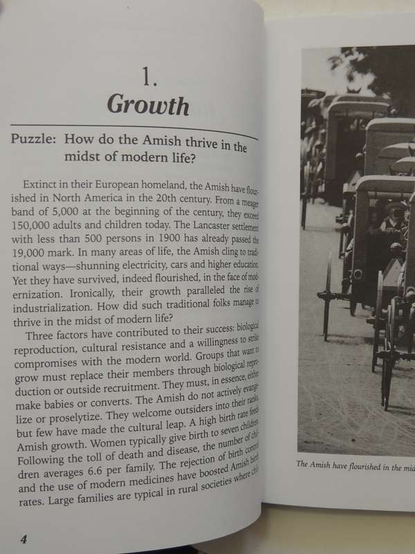The Puzzles Of Amish LifeDonald B. Kraybill