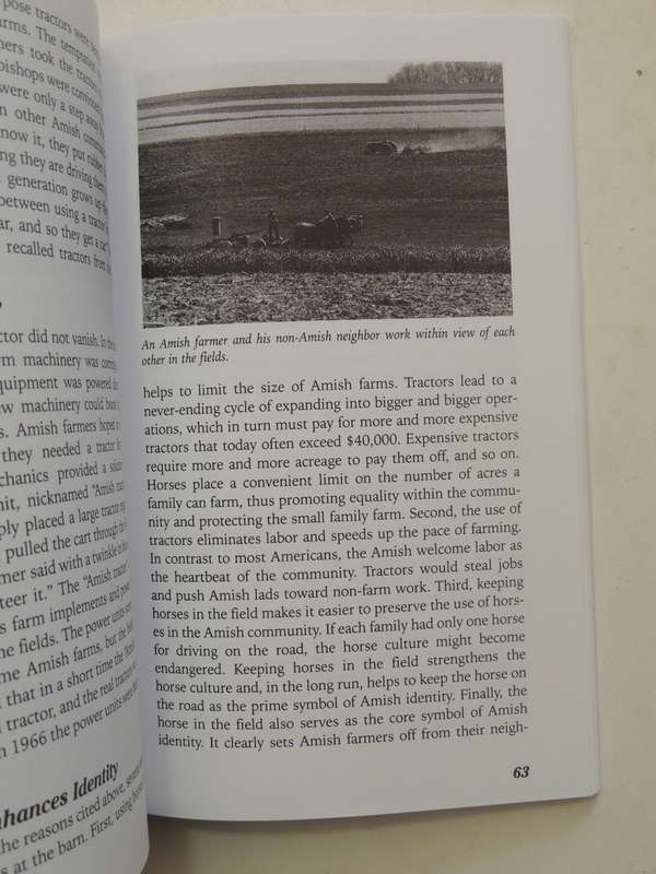 The Puzzles Of Amish LifeDonald B. Kraybill