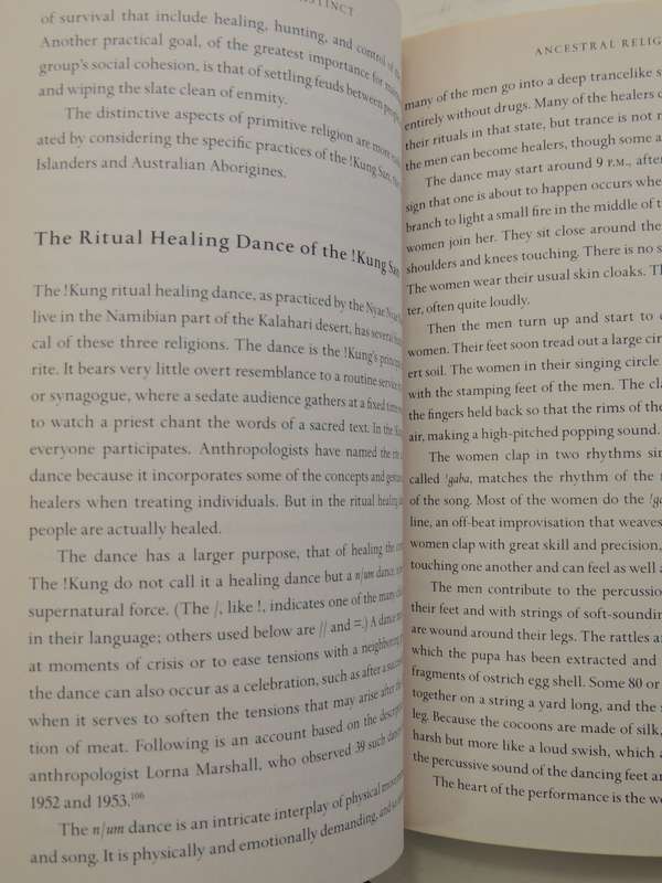 The Faith Instinct: How Religion Evolved And Why It Endures - Nicholas Wade