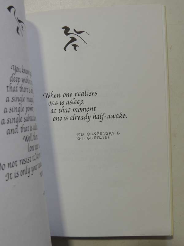 A Guide For The Advanced Soul: A Book Of Insight - Susan Hayward