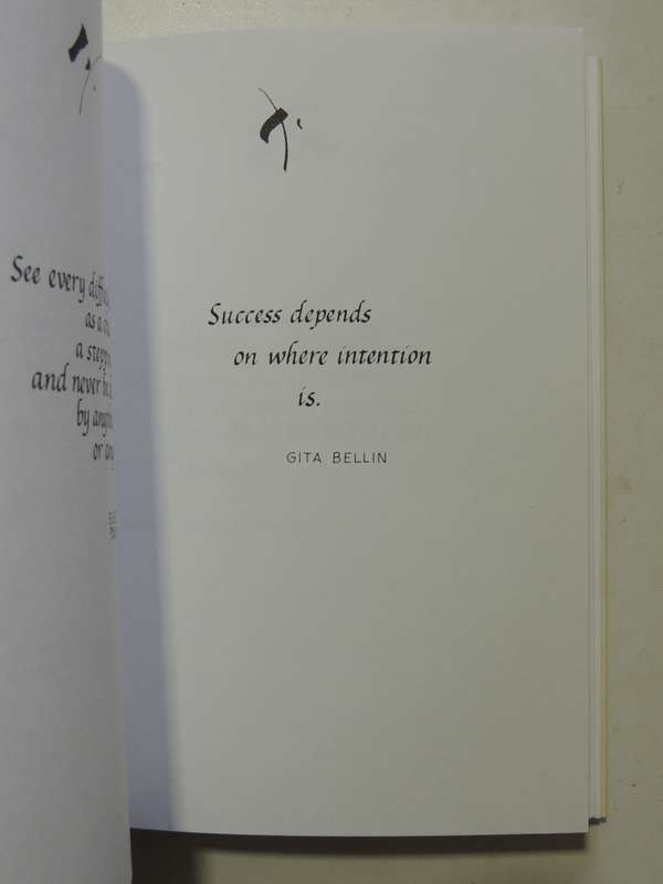 A Guide For The Advanced Soul: A Book Of Insight - Susan Hayward