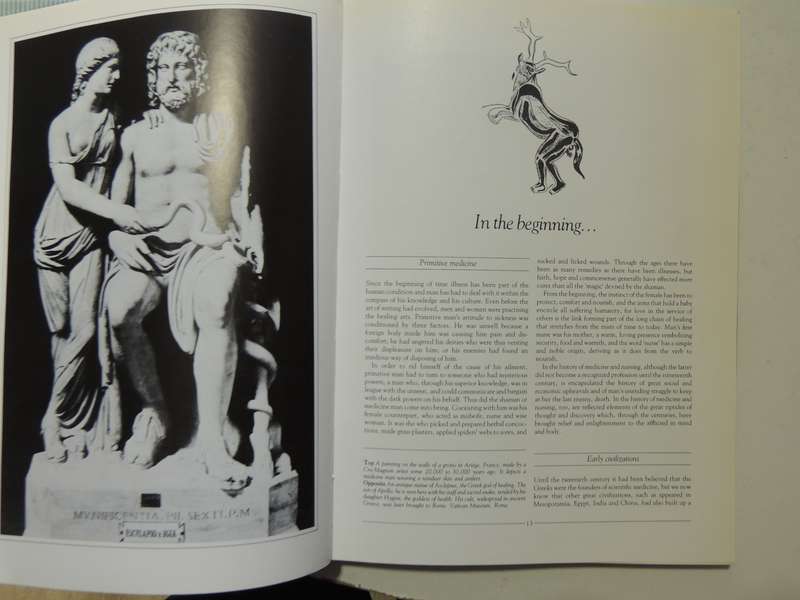 A Pictorial History Of Nursing - Madeleine Masson