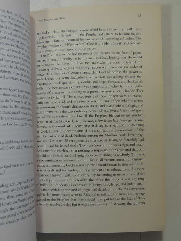 The Messenger: The Meaning Of The Life Of Muhammad - Tariq Ramadan