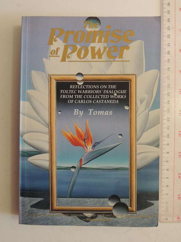 The Promise Of Power - Reflections On The Toltec Warriors' Dialogue From The Collected Works Of Carl