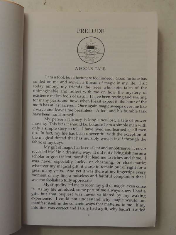The Promise Of Power - Reflections On The Toltec Warriors' Dialogue From The Collected Works Of Carl