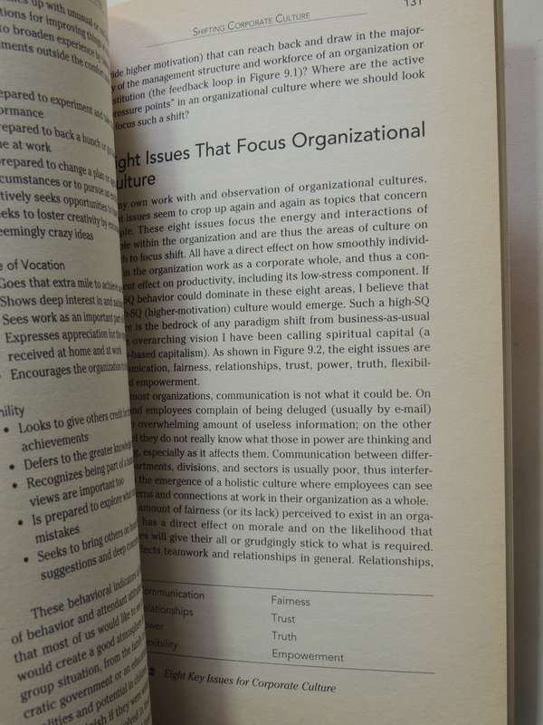Spiritual Capital: Wealth We Can Live By - Danah Zohar & Ian Marshall