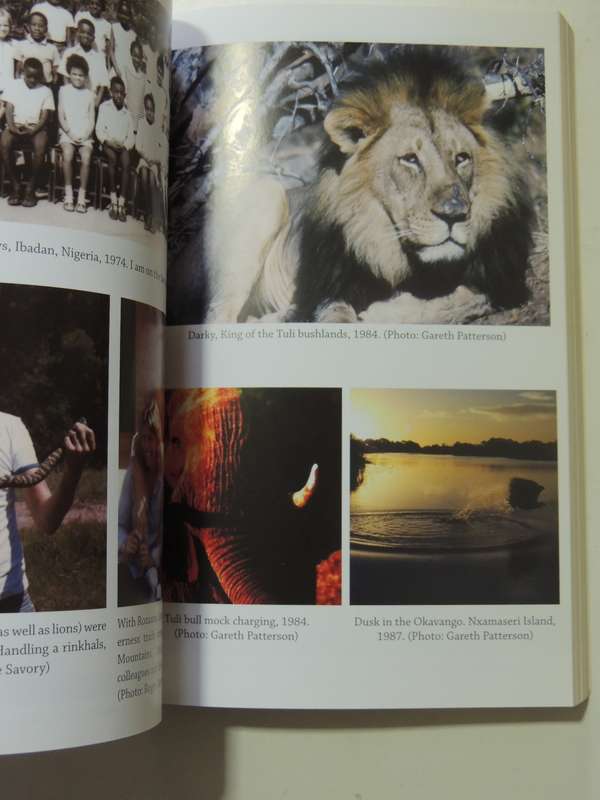 My Lion's Heart: A Life For the Lions Of Africa - Gareth Patterson